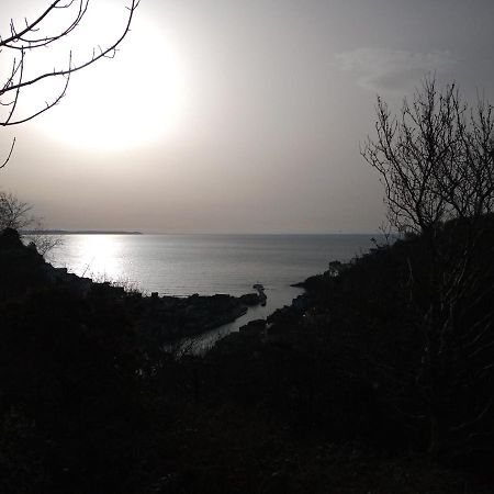 West Looe Downs公寓 外观 照片